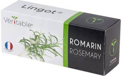 Recharge jardin d'int&eacute;rieur VERITABLE romarin Multicolore Veritable
