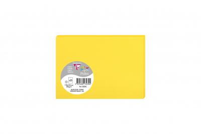 Etui de 25 cartes - POLLEN - 210g - 110mm x 155 mm - Jaune Soleil