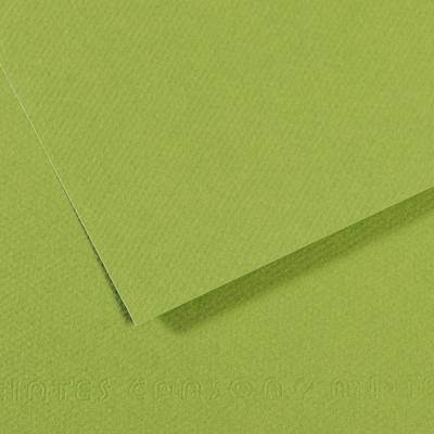 Feuille &agrave; dessins mi-teinte - CANSON - 160g - 50x65 - Vert Pomme