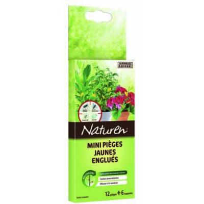Pi&egrave;ges jaunes plantes maison Naturen