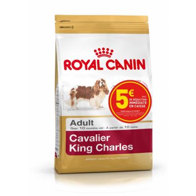Cavalier King Charles Adult 3 Kg Royal Canin 
