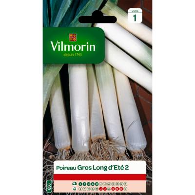 Poireau VILMORIN gros long d'&eacute;t&eacute; 2