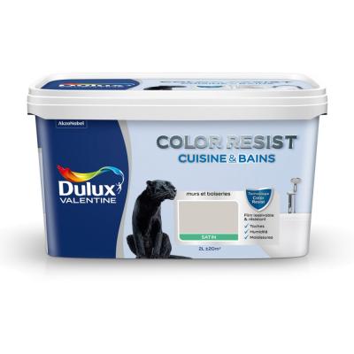 Peinture Color Resist Cuisine et Bains - Galet - Satin - 2L
