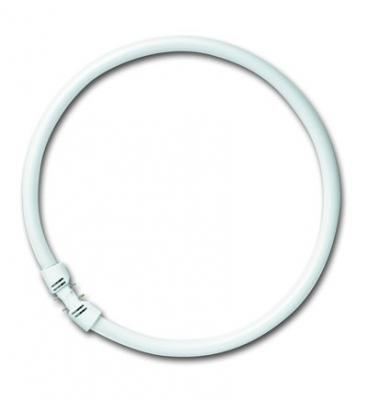 Tube fluorescent OSRAM 2GX13 22 W blanc neutre forme d'anneau 1 pc(s) 