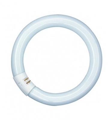 Anneau fluorescent Lumilux T9C G10q 22W 840