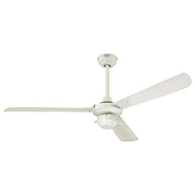 Ventilateur de plafond ext&eacute;rieur Mountain Gale Blanc