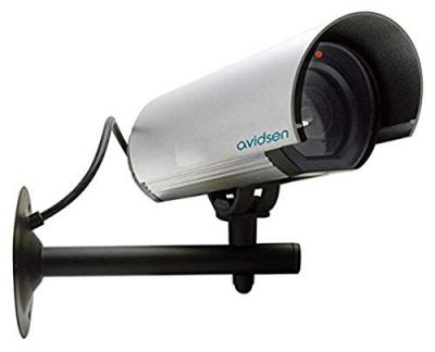 Avidsen - fausse cam&Eacute;ra d'ext&Eacute;rieur en aluminium 123063 123054