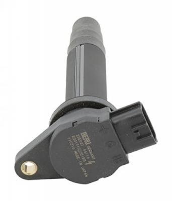 Bobine d'allumage BorgWarner (BERU) ZSE021 (X1)