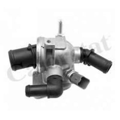 Thermostat/calorstat CALORSTAT BY VERNET TH6981.88J (X1)