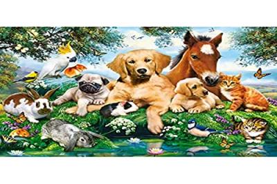 Castor - puzzle amici estivi 500 pz. [wzcstt0uf002387]