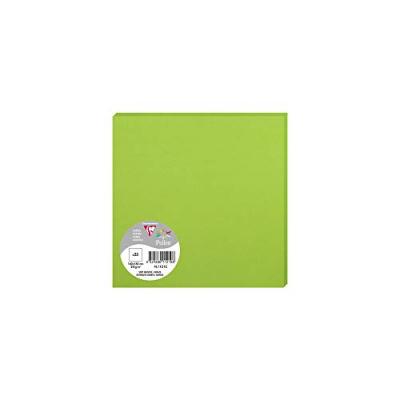 Paquet de 25 cartes simples Pollen 160x160mm Vert Menthe 210g