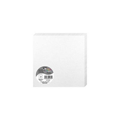 Paquet de 25 cartes pli&eacute;es Pollen 160x160mm Blanc Iris&eacute; 210g
