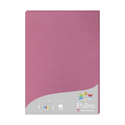 Etui de 25 feuilles Pollen A4 Rose Hortensia 210g