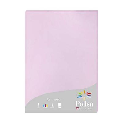 Clairefontaine Etui De 25 Feuilles 210x297 Lilas 210g