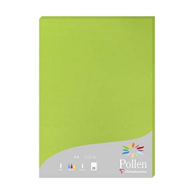 Etui de 25 feuilles Pollen 210x297 Vert Menthe 210g