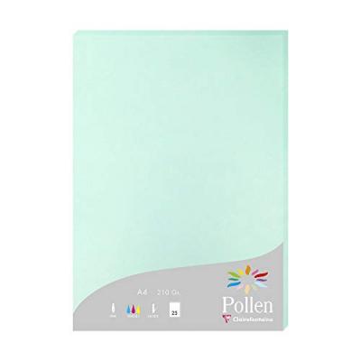 Pollen Etui de 25 Feuilles 210x297 vert jade 210g
