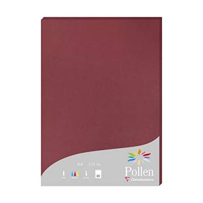 Etui de 25 feuilles Pollen A4 Bordeaux 210g