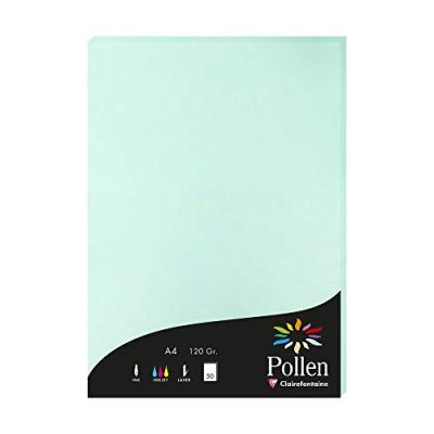 Clairefontaine Etui De 50 Feuilles 210x297 Vert Jade 120g