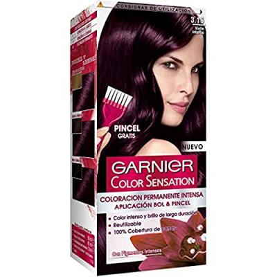 Garnier Color Sensation N&deg;3.16 Intense Violon 4 pi&egrave;ces