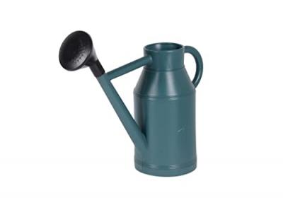 EDA - Arrosoir plastique rond Lyonnais + pomme 6 L