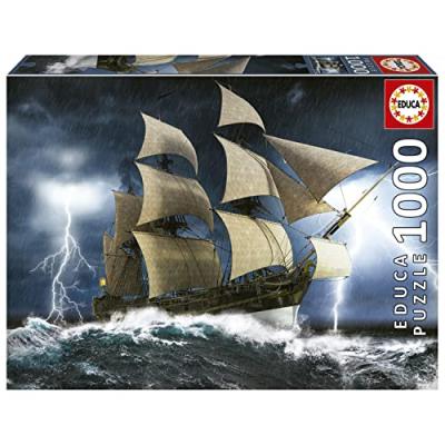 Educa Borras 1000 Pieces Perfect Storm Puzzle Multicolore