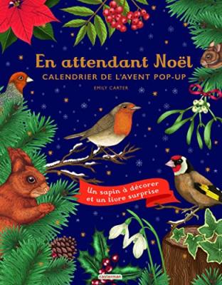 En Attendant No&euml;l : Calendrier De L'avent Pop-up
