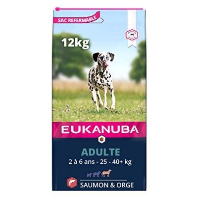 Eukanuba Adult Large Saumon & Orge pour chien 2 x 12 kg