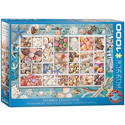 Puzzle 1000 pi&egrave;ces : collection de coquillages