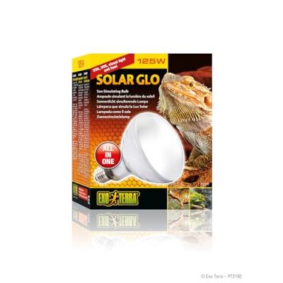 Exoterra Ampoule et Solar Glo pour Reptiles et Amphibiens 125 W