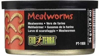 Exoterra Aliment Vers de Farine pour Reptiles et Amphibiens 34 g