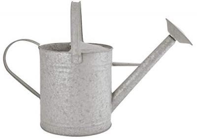 Ac-Deco Arrosoir 8,75 L - L 24 x l 55,5 x H 30,5 cm - Zinc Patin&eacute;