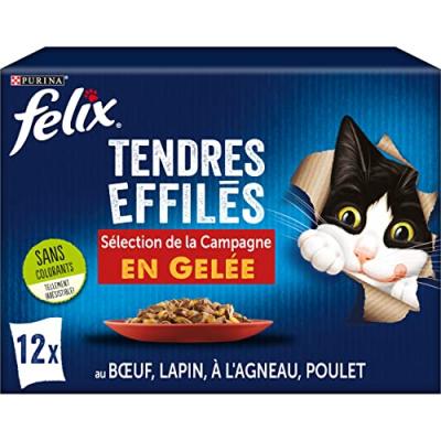 Felix tendres effil&eacute;s en gel&eacute;e - s&eacute;lection de la campagne 6(12x85g)