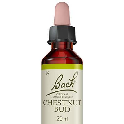 Fleur de Bach&reg; Original Chestnut Bud 20ml