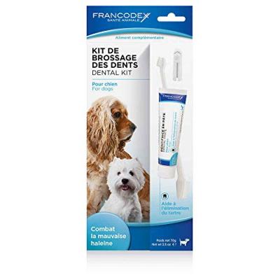 Kit de brosse &agrave; dents   dentifrice pour chiens