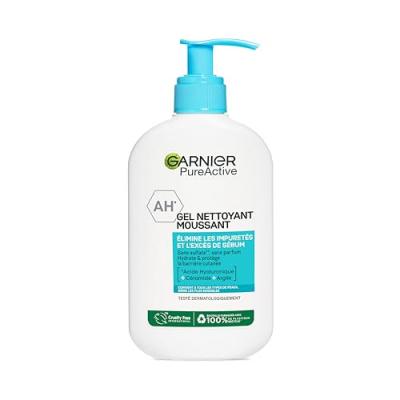 Garnier skinactive pure pa deep clns foam pb250ml