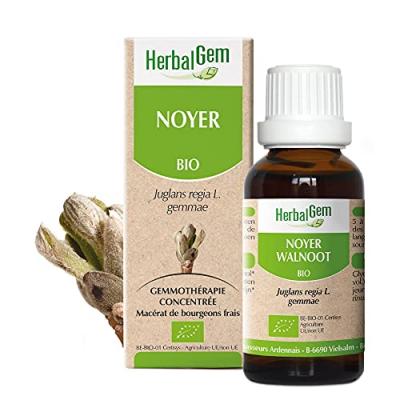 Herbalgem Mac&eacute;rat Concentr&eacute; de Noyer Bio 30ml