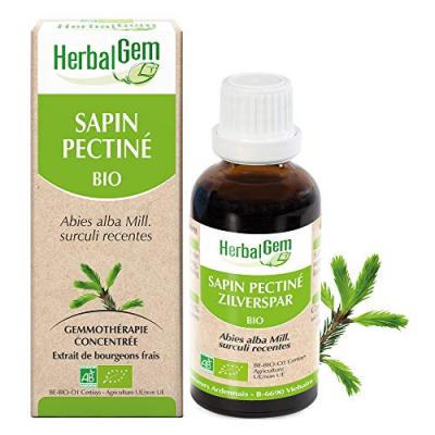 Herbalgem Mac&eacute;ratsM&eacute;res Concentr&eacute;s Sapin Pectin&eacute; 30ml