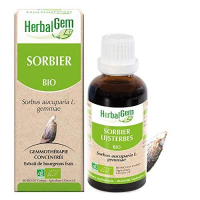 Herbalgem Macer Mer Bio Sorbie30ml