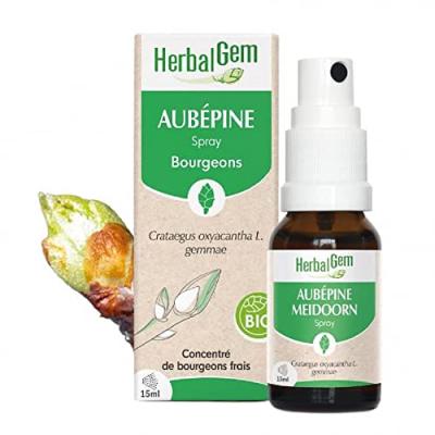 Spray Aub&eacute;pine 15ml Bourgeons Bio Herbalgem