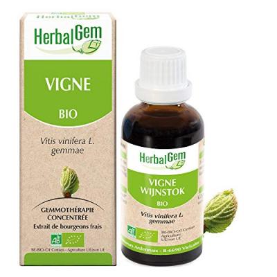 HERBALGEM Vigne Mac&eacute;rat concentr&eacute;de bourgeons frais 30ml