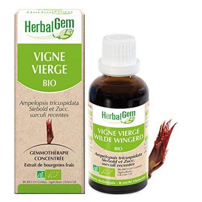 Herbalgem Mac&eacute;ratsm&eacute;res Concentr&eacute;s Vigne Vierge 30ml