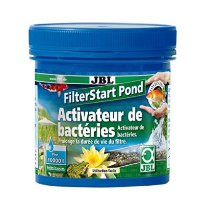 Filterstart pond 250 gr (bassin)
