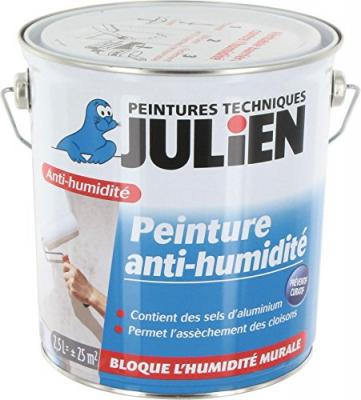 Peinture Anti-Humidit&eacute; et &Eacute;tanch&eacute;it&eacute; Julien Satin Blanc Satin&eacute; 2,5 L