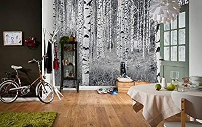 Komar Photo Murale Panoramique Intiss&eacute;, 368cm x 248cm, Woods, XXL4-023