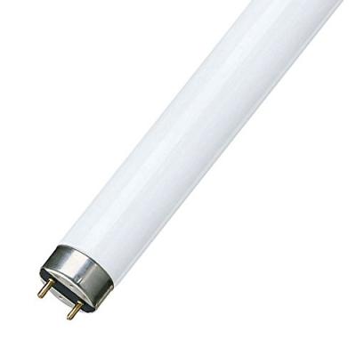 Tube fluorescent G13 T8 MASTER TL-D Super 18W-865