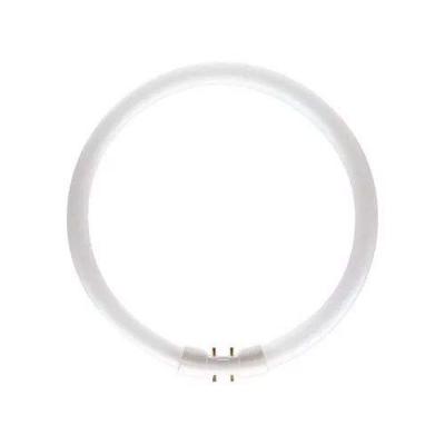 Philips MASTER TL5C Circulaire 22W - 830 Blanc Chaud | 22cm