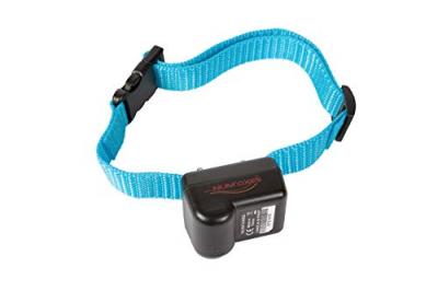 Canicalm First - collier anti aboiement pour chien