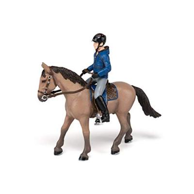 Chevaux, Poulains Et Poneys Cheval De Promenade Et Son Cavalier