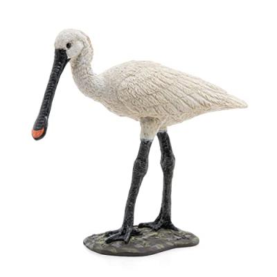 La Vie Sauvage Spatule