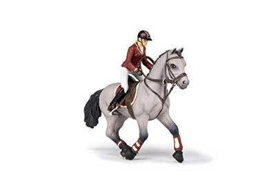 Chevaux, Poulains Et Poneys Cheval De Concours Et Sa Cavali&egrave;re